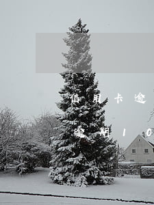 信用卡逾期10萬4年沒還怎么辦-信用卡逾期10萬4年沒還怎么辦呢