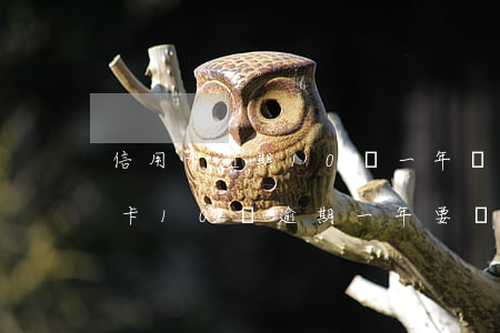 信用卡逾期10萬一年費(fèi)用(信用卡10萬逾期一年要還多少)