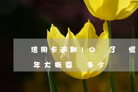 信用卡逾期10萬了別慌(十萬信用卡逾期一年大概要還多少)