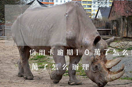 信用卡逾期10萬了怎么辦(信用卡逾期10萬了怎么辦理)