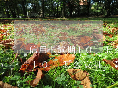 信用卡逾期10萬怎么安排還款(信用卡逾期10萬怎么安排還款的)