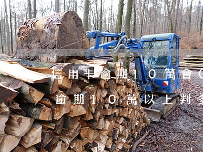 信用卡逾期10萬會(huì)坐牢(信用卡逾期10萬以上判多少)