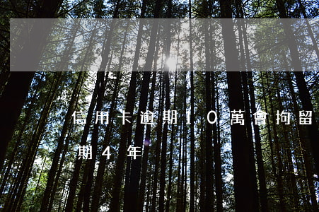 信用卡逾期10萬會拘留嗎(信用卡10萬逾期4年)