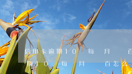信用卡逾期10萬每個月還幾百-信用卡逾期10萬每個月還幾百怎么辦