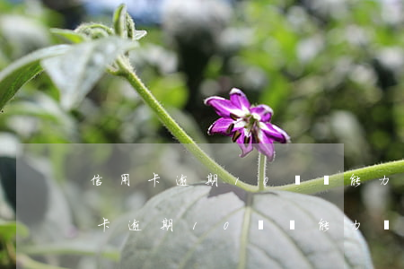信用卡逾期10萬無能力償還怎么辦-信用卡逾期10萬無能力償還怎么辦呢