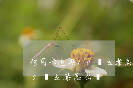信用卡逾期10萬立案怎么辦(信用卡逾期10萬立案怎么辦)