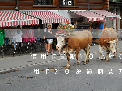 信用卡逾期10萬經(jīng)偵傳喚(信用卡20萬逾期要判多久)