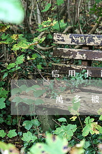 信用卡逾期10萬被起訴坐牢(信用卡逾期9萬多被起訴會直接坐牢嗎)