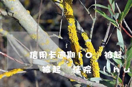 信用卡逾期10萬被起訴坐牢(信用卡逾期十萬被起訴,法院會(huì)怎樣判決)