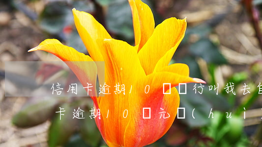 信用卡逾期10萬銀行叫我去自首-欠信用卡逾期10萬元會(huì)的被判刑嗎