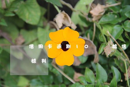 信用卡逾期10萬離婚(信用卡逾期10萬離婚判決)