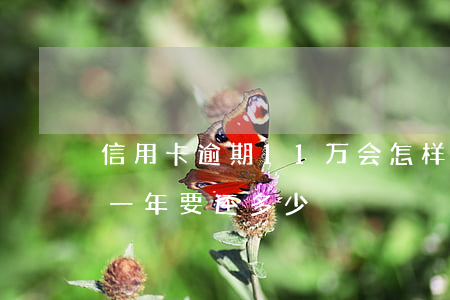 信用卡逾期11万会怎样 信用卡10万逾期一年要还多少