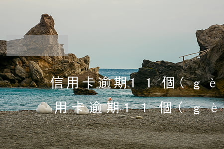 信用卡逾期11個(gè)月能辦房貸嗎（信用卡逾期11個(gè)月能辦房貸嗎）