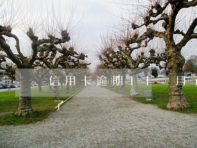 信用卡逾期11個月了 信用卡逾期11個月了