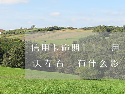 信用卡逾期11個月會怎么樣(信用卡逾期十天左右會有什么影響)
