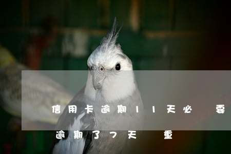 信用卡逾期11天必須要我還 信用卡12元逾期了7天嚴重嗎