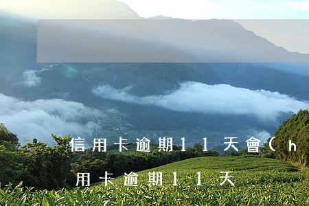 信用卡逾期11天會(huì)上征信嗎（信用卡逾期11天）
