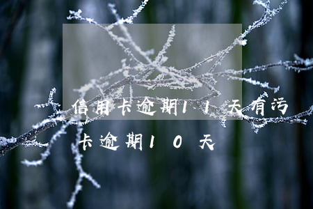信用卡逾期11天有污點(diǎn)(信用卡逾期10天)