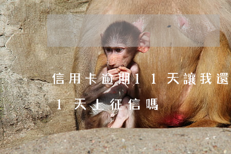 信用卡逾期11天讓我還全款(還款日逾期11天上征信嗎)