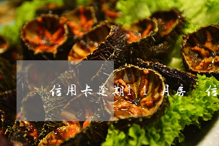 信用卡逾期11月房貸(信用卡 逾期 房貸)