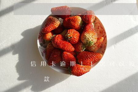 信用卡逾期11次可以按揭車(逾期十幾次能貸款買車嗎)