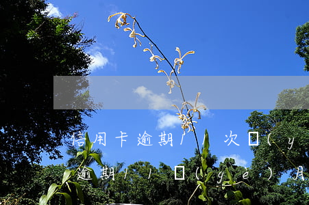 信用卡逾期11次嚴(yán)重嗎(信用卡逾期11個(gè)月會(huì)怎么樣)
