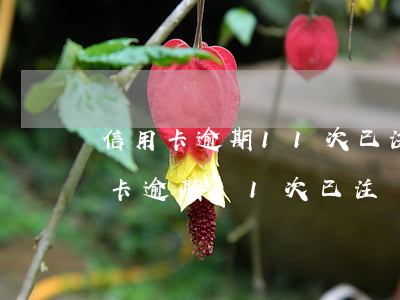 信用卡逾期11次已注銷(xiāo)(信用卡逾期11次已注銷(xiāo))