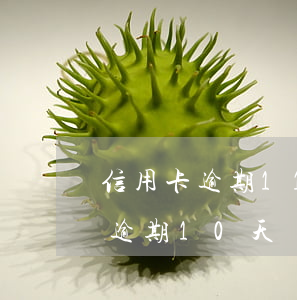 信用卡逾期11次幾百塊錢(信用卡5000逾期10天罰款多少)