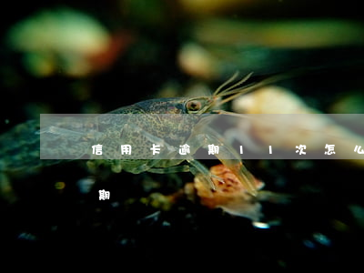 信用卡逾期11次怎么消除(十幾張信用卡逾期)