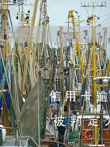 信用卡逾期11次算黑户吗(连续逾期几次会被判定为黑户)