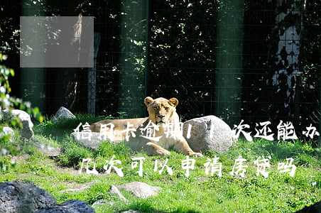 信用卡逾期11次还能办房贷吗 征信逾期十几次可以申请房贷吗