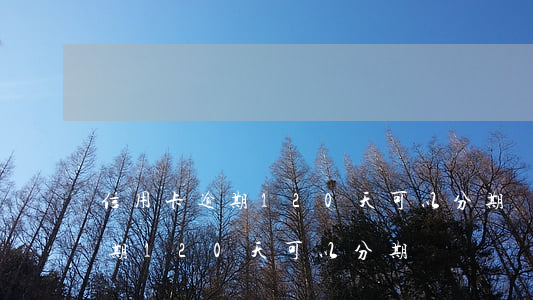 信用卡逾期120天可以分期嗎-信用卡逾期120天可以分期嗎