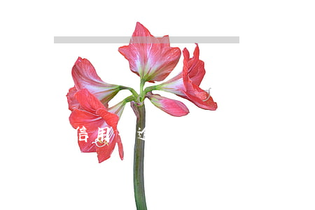 信用卡逾期120天算幾次(逾期120天以上)