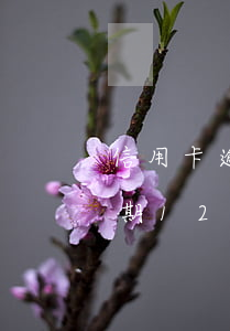 信用卡逾期120天還能分期嗎-信用卡逾期120天還能分期嗎