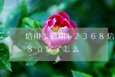 信用卡逾期12368(信用卡逾期12368立案了怎么辦)