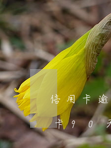 信用卡逾期128天會(huì)咋樣(信用卡90天內(nèi)逾期)