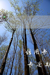 信用卡逾期12個(gè)月無力償還(信用卡逾期10個(gè)月后果)