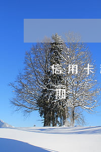 信用卡逾期12個后果(10張信用卡全部逾期)