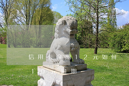信用卡逾期12元如何補(bǔ)救(信用卡10元逾期)