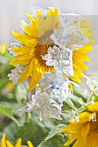 信用卡逾期12元會(huì)影響征信么-信用卡逾期12元會(huì)影響征信么嗎