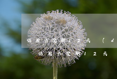 信用卡逾期12天對(duì)征信有影響嗎 信用卡逾期12天對(duì)征信有影響嗎