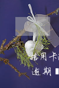 信用卡逾期12天有什么影響(信用卡10天逾期會不會影響征信)