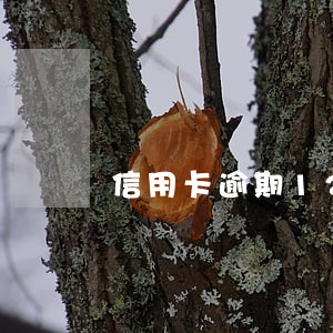信用卡逾期12天有影響嗎