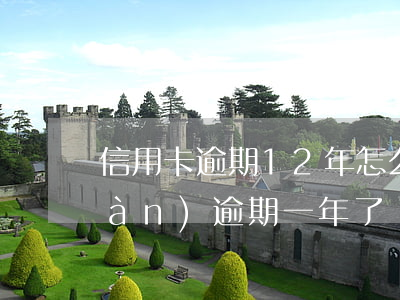 信用卡逾期12年怎么辦(信用卡12萬(wàn)逾期一年了,會(huì)不會(huì)坐牢)