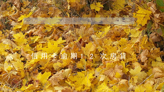 信用卡逾期12次房貸