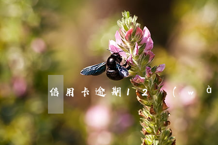 信用卡逾期12萬(wàn)回被起訴么