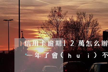信用卡逾期12萬怎么辦(信用卡12萬逾期一年了,會(huì)不會(huì)坐牢)