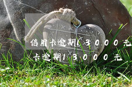 信用卡逾期13000元會被起訴嗎-信用卡逾期13000元會被起訴嗎知乎