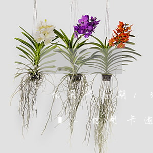 信用卡逾期13000多會(huì)起訴嗎-信用卡逾期13000多會(huì)起訴嗎知乎