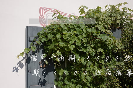 信用卡逾期13000然后报案-信用卡逾期13000然后报案会怎么样